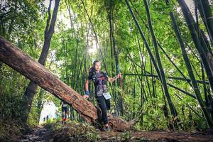 BIB: 1190
                            <button type="button" onclick="openModal(15934805)" class="btn btn-primary btn-sm float-right btn-popup" data-toggle="modal" data-target=".modal-high-quality">
                        <i class="fas fa-shopping-cart"></i> Add to Cart
                    </button>
                                            <button type="button" onclick="isThisMe(15934805, true)" class="btn btn-success btn-sm float-right btn-popup btn-isme hidden" data-toggle="tooltip" data-placement="bottom" title="นี่คือรูปของคุณใช่ไหม คลิกที่นี่เพื่อเอาเข้าอัลบั้ม">
                        <i class="fas fa-plus"></i> Add to album
                    </button>
                    <button type="button" onclick="isThisMe(15934805, false)" class="btn btn-warning btn-sm float-right btn-popup btn-isnotme hidden">
                        <i class="fas fa-ban"></i> Remove from album
                    </button>