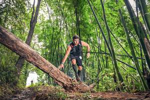 BIB: 
                            <button type="button" onclick="openModal(15932494)" class="btn btn-primary btn-sm float-right btn-popup" data-toggle="modal" data-target=".modal-high-quality">
                        <i class="fas fa-shopping-cart"></i> Add to Cart
                    </button>
                                            <button type="button" onclick="isThisMe(15932494, true)" class="btn btn-success btn-sm float-right btn-popup btn-isme hidden" data-toggle="tooltip" data-placement="bottom" title="นี่คือรูปของคุณใช่ไหม คลิกที่นี่เพื่อเอาเข้าอัลบั้ม">
                        <i class="fas fa-plus"></i> Add to album
                    </button>
                    <button type="button" onclick="isThisMe(15932494, false)" class="btn btn-warning btn-sm float-right btn-popup btn-isnotme hidden">
                        <i class="fas fa-ban"></i> Remove from album
                    </button>