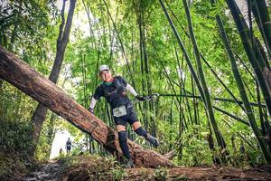 BIB: , 1481
                            <button type="button" onclick="openModal(15934607)" class="btn btn-primary btn-sm float-right btn-popup" data-toggle="modal" data-target=".modal-high-quality">
                        <i class="fas fa-shopping-cart"></i> Add to Cart
                    </button>
                                            <button type="button" onclick="isThisMe(15934607, true)" class="btn btn-success btn-sm float-right btn-popup btn-isme hidden" data-toggle="tooltip" data-placement="bottom" title="นี่คือรูปของคุณใช่ไหม คลิกที่นี่เพื่อเอาเข้าอัลบั้ม">
                        <i class="fas fa-plus"></i> Add to album
                    </button>
                    <button type="button" onclick="isThisMe(15934607, false)" class="btn btn-warning btn-sm float-right btn-popup btn-isnotme hidden">
                        <i class="fas fa-ban"></i> Remove from album
                    </button>