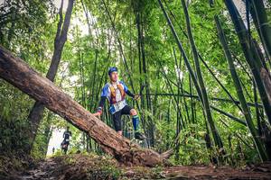 BIB: 1017
                            <button type="button" onclick="openModal(15933075)" class="btn btn-primary btn-sm float-right btn-popup" data-toggle="modal" data-target=".modal-high-quality">
                        <i class="fas fa-shopping-cart"></i> Add to Cart
                    </button>
                                            <button type="button" onclick="isThisMe(15933075, true)" class="btn btn-success btn-sm float-right btn-popup btn-isme hidden" data-toggle="tooltip" data-placement="bottom" title="นี่คือรูปของคุณใช่ไหม คลิกที่นี่เพื่อเอาเข้าอัลบั้ม">
                        <i class="fas fa-plus"></i> Add to album
                    </button>
                    <button type="button" onclick="isThisMe(15933075, false)" class="btn btn-warning btn-sm float-right btn-popup btn-isnotme hidden">
                        <i class="fas fa-ban"></i> Remove from album
                    </button>