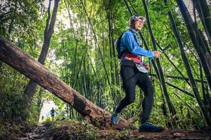 BIB: , 160
                            <button type="button" onclick="openModal(15934385)" class="btn btn-primary btn-sm float-right btn-popup" data-toggle="modal" data-target=".modal-high-quality">
                        <i class="fas fa-shopping-cart"></i> Add to Cart
                    </button>
                                            <button type="button" onclick="isThisMe(15934385, true)" class="btn btn-success btn-sm float-right btn-popup btn-isme hidden" data-toggle="tooltip" data-placement="bottom" title="นี่คือรูปของคุณใช่ไหม คลิกที่นี่เพื่อเอาเข้าอัลบั้ม">
                        <i class="fas fa-plus"></i> Add to album
                    </button>
                    <button type="button" onclick="isThisMe(15934385, false)" class="btn btn-warning btn-sm float-right btn-popup btn-isnotme hidden">
                        <i class="fas fa-ban"></i> Remove from album
                    </button>