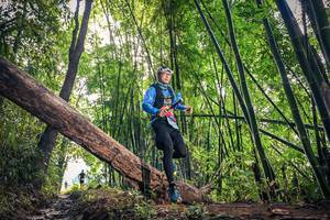 BIB: , 072019, 507
                            <button type="button" onclick="openModal(15934383)" class="btn btn-primary btn-sm float-right btn-popup" data-toggle="modal" data-target=".modal-high-quality">
                        <i class="fas fa-shopping-cart"></i> Add to Cart
                    </button>
                                            <button type="button" onclick="isThisMe(15934383, true)" class="btn btn-success btn-sm float-right btn-popup btn-isme hidden" data-toggle="tooltip" data-placement="bottom" title="นี่คือรูปของคุณใช่ไหม คลิกที่นี่เพื่อเอาเข้าอัลบั้ม">
                        <i class="fas fa-plus"></i> Add to album
                    </button>
                    <button type="button" onclick="isThisMe(15934383, false)" class="btn btn-warning btn-sm float-right btn-popup btn-isnotme hidden">
                        <i class="fas fa-ban"></i> Remove from album
                    </button>