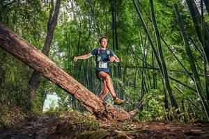 BIB: 1784
                            <button type="button" onclick="openModal(15932435)" class="btn btn-primary btn-sm float-right btn-popup" data-toggle="modal" data-target=".modal-high-quality">
                        <i class="fas fa-shopping-cart"></i> Add to Cart
                    </button>
                                            <button type="button" onclick="isThisMe(15932435, true)" class="btn btn-success btn-sm float-right btn-popup btn-isme hidden" data-toggle="tooltip" data-placement="bottom" title="นี่คือรูปของคุณใช่ไหม คลิกที่นี่เพื่อเอาเข้าอัลบั้ม">
                        <i class="fas fa-plus"></i> Add to album
                    </button>
                    <button type="button" onclick="isThisMe(15932435, false)" class="btn btn-warning btn-sm float-right btn-popup btn-isnotme hidden">
                        <i class="fas fa-ban"></i> Remove from album
                    </button>