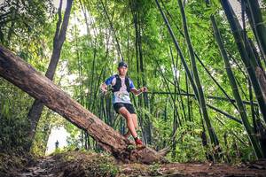 BIB: 1081
                            <button type="button" onclick="openModal(15933013)" class="btn btn-primary btn-sm float-right btn-popup" data-toggle="modal" data-target=".modal-high-quality">
                        <i class="fas fa-shopping-cart"></i> Add to Cart
                    </button>
                                            <button type="button" onclick="isThisMe(15933013, true)" class="btn btn-success btn-sm float-right btn-popup btn-isme hidden" data-toggle="tooltip" data-placement="bottom" title="นี่คือรูปของคุณใช่ไหม คลิกที่นี่เพื่อเอาเข้าอัลบั้ม">
                        <i class="fas fa-plus"></i> Add to album
                    </button>
                    <button type="button" onclick="isThisMe(15933013, false)" class="btn btn-warning btn-sm float-right btn-popup btn-isnotme hidden">
                        <i class="fas fa-ban"></i> Remove from album
                    </button>