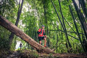 BIB: 
                            <button type="button" onclick="openModal(15933502)" class="btn btn-primary btn-sm float-right btn-popup" data-toggle="modal" data-target=".modal-high-quality">
                        <i class="fas fa-shopping-cart"></i> Add to Cart
                    </button>
                                            <button type="button" onclick="isThisMe(15933502, true)" class="btn btn-success btn-sm float-right btn-popup btn-isme hidden" data-toggle="tooltip" data-placement="bottom" title="นี่คือรูปของคุณใช่ไหม คลิกที่นี่เพื่อเอาเข้าอัลบั้ม">
                        <i class="fas fa-plus"></i> Add to album
                    </button>
                    <button type="button" onclick="isThisMe(15933502, false)" class="btn btn-warning btn-sm float-right btn-popup btn-isnotme hidden">
                        <i class="fas fa-ban"></i> Remove from album
                    </button>