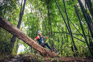 BIB: 
                            <button type="button" onclick="openModal(15934550)" class="btn btn-primary btn-sm float-right btn-popup" data-toggle="modal" data-target=".modal-high-quality">
                        <i class="fas fa-shopping-cart"></i> Add to Cart
                    </button>
                                            <button type="button" onclick="isThisMe(15934550, true)" class="btn btn-success btn-sm float-right btn-popup btn-isme hidden" data-toggle="tooltip" data-placement="bottom" title="นี่คือรูปของคุณใช่ไหม คลิกที่นี่เพื่อเอาเข้าอัลบั้ม">
                        <i class="fas fa-plus"></i> Add to album
                    </button>
                    <button type="button" onclick="isThisMe(15934550, false)" class="btn btn-warning btn-sm float-right btn-popup btn-isnotme hidden">
                        <i class="fas fa-ban"></i> Remove from album
                    </button>