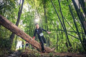 BIB: , 1148
                            <button type="button" onclick="openModal(15934756)" class="btn btn-primary btn-sm float-right btn-popup" data-toggle="modal" data-target=".modal-high-quality">
                        <i class="fas fa-shopping-cart"></i> Add to Cart
                    </button>
                                            <button type="button" onclick="isThisMe(15934756, true)" class="btn btn-success btn-sm float-right btn-popup btn-isme hidden" data-toggle="tooltip" data-placement="bottom" title="นี่คือรูปของคุณใช่ไหม คลิกที่นี่เพื่อเอาเข้าอัลบั้ม">
                        <i class="fas fa-plus"></i> Add to album
                    </button>
                    <button type="button" onclick="isThisMe(15934756, false)" class="btn btn-warning btn-sm float-right btn-popup btn-isnotme hidden">
                        <i class="fas fa-ban"></i> Remove from album
                    </button>