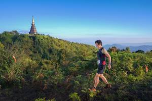 BIB: 
                            <button type="button" onclick="openModal(15977855)" class="btn btn-primary btn-sm float-right btn-popup" data-toggle="modal" data-target=".modal-high-quality">
                        <i class="fas fa-shopping-cart"></i> Add to Cart
                    </button>
                                            <button type="button" onclick="isThisMe(15977855, true)" class="btn btn-success btn-sm float-right btn-popup btn-isme hidden" data-toggle="tooltip" data-placement="bottom" title="นี่คือรูปของคุณใช่ไหม คลิกที่นี่เพื่อเอาเข้าอัลบั้ม">
                        <i class="fas fa-plus"></i> Add to album
                    </button>
                    <button type="button" onclick="isThisMe(15977855, false)" class="btn btn-warning btn-sm float-right btn-popup btn-isnotme hidden">
                        <i class="fas fa-ban"></i> Remove from album
                    </button>