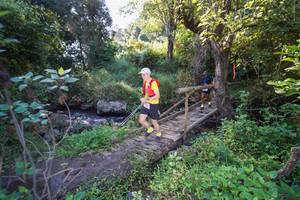 BIB: 
                            <button type="button" onclick="openModal(15976115)" class="btn btn-primary btn-sm float-right btn-popup" data-toggle="modal" data-target=".modal-high-quality">
                        <i class="fas fa-shopping-cart"></i> Add to Cart
                    </button>
                                            <button type="button" onclick="isThisMe(15976115, true)" class="btn btn-success btn-sm float-right btn-popup btn-isme hidden" data-toggle="tooltip" data-placement="bottom" title="นี่คือรูปของคุณใช่ไหม คลิกที่นี่เพื่อเอาเข้าอัลบั้ม">
                        <i class="fas fa-plus"></i> Add to album
                    </button>
                    <button type="button" onclick="isThisMe(15976115, false)" class="btn btn-warning btn-sm float-right btn-popup btn-isnotme hidden">
                        <i class="fas fa-ban"></i> Remove from album
                    </button>