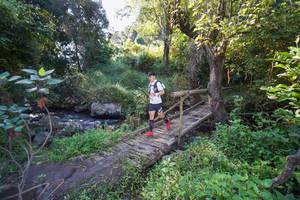 BIB: 
                            <button type="button" onclick="openModal(15976125)" class="btn btn-primary btn-sm float-right btn-popup" data-toggle="modal" data-target=".modal-high-quality">
                        <i class="fas fa-shopping-cart"></i> Add to Cart
                    </button>
                                            <button type="button" onclick="isThisMe(15976125, true)" class="btn btn-success btn-sm float-right btn-popup btn-isme hidden" data-toggle="tooltip" data-placement="bottom" title="นี่คือรูปของคุณใช่ไหม คลิกที่นี่เพื่อเอาเข้าอัลบั้ม">
                        <i class="fas fa-plus"></i> Add to album
                    </button>
                    <button type="button" onclick="isThisMe(15976125, false)" class="btn btn-warning btn-sm float-right btn-popup btn-isnotme hidden">
                        <i class="fas fa-ban"></i> Remove from album
                    </button>