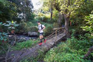 BIB: 
                            <button type="button" onclick="openModal(15976127)" class="btn btn-primary btn-sm float-right btn-popup" data-toggle="modal" data-target=".modal-high-quality">
                        <i class="fas fa-shopping-cart"></i> Add to Cart
                    </button>
                                            <button type="button" onclick="isThisMe(15976127, true)" class="btn btn-success btn-sm float-right btn-popup btn-isme hidden" data-toggle="tooltip" data-placement="bottom" title="นี่คือรูปของคุณใช่ไหม คลิกที่นี่เพื่อเอาเข้าอัลบั้ม">
                        <i class="fas fa-plus"></i> Add to album
                    </button>
                    <button type="button" onclick="isThisMe(15976127, false)" class="btn btn-warning btn-sm float-right btn-popup btn-isnotme hidden">
                        <i class="fas fa-ban"></i> Remove from album
                    </button>