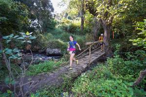 BIB: 5146
                            <button type="button" onclick="openModal(15976110)" class="btn btn-primary btn-sm float-right btn-popup" data-toggle="modal" data-target=".modal-high-quality">
                        <i class="fas fa-shopping-cart"></i> Add to Cart
                    </button>
                                            <button type="button" onclick="isThisMe(15976110, true)" class="btn btn-success btn-sm float-right btn-popup btn-isme hidden" data-toggle="tooltip" data-placement="bottom" title="นี่คือรูปของคุณใช่ไหม คลิกที่นี่เพื่อเอาเข้าอัลบั้ม">
                        <i class="fas fa-plus"></i> Add to album
                    </button>
                    <button type="button" onclick="isThisMe(15976110, false)" class="btn btn-warning btn-sm float-right btn-popup btn-isnotme hidden">
                        <i class="fas fa-ban"></i> Remove from album
                    </button>