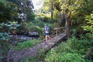 BIB: 082
                            <button type="button" onclick="openModal(15976128)" class="btn btn-primary btn-sm float-right btn-popup" data-toggle="modal" data-target=".modal-high-quality">
                        <i class="fas fa-shopping-cart"></i> Add to Cart
                    </button>
                                            <button type="button" onclick="isThisMe(15976128, true)" class="btn btn-success btn-sm float-right btn-popup btn-isme hidden" data-toggle="tooltip" data-placement="bottom" title="นี่คือรูปของคุณใช่ไหม คลิกที่นี่เพื่อเอาเข้าอัลบั้ม">
                        <i class="fas fa-plus"></i> Add to album
                    </button>
                    <button type="button" onclick="isThisMe(15976128, false)" class="btn btn-warning btn-sm float-right btn-popup btn-isnotme hidden">
                        <i class="fas fa-ban"></i> Remove from album
                    </button>