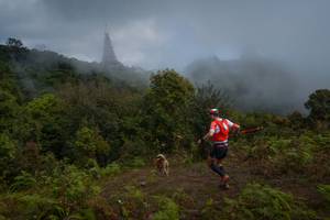 BIB: 3008
                            <button type="button" onclick="openModal(15976504)" class="btn btn-primary btn-sm float-right btn-popup" data-toggle="modal" data-target=".modal-high-quality">
                        <i class="fas fa-shopping-cart"></i> Add to Cart
                    </button>
                                            <button type="button" onclick="isThisMe(15976504, true)" class="btn btn-success btn-sm float-right btn-popup btn-isme hidden" data-toggle="tooltip" data-placement="bottom" title="นี่คือรูปของคุณใช่ไหม คลิกที่นี่เพื่อเอาเข้าอัลบั้ม">
                        <i class="fas fa-plus"></i> Add to album
                    </button>
                    <button type="button" onclick="isThisMe(15976504, false)" class="btn btn-warning btn-sm float-right btn-popup btn-isnotme hidden">
                        <i class="fas fa-ban"></i> Remove from album
                    </button>