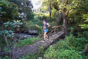 BIB: 
                            <button type="button" onclick="openModal(15976111)" class="btn btn-primary btn-sm float-right btn-popup" data-toggle="modal" data-target=".modal-high-quality">
                        <i class="fas fa-shopping-cart"></i> Add to Cart
                    </button>
                                            <button type="button" onclick="isThisMe(15976111, true)" class="btn btn-success btn-sm float-right btn-popup btn-isme hidden" data-toggle="tooltip" data-placement="bottom" title="นี่คือรูปของคุณใช่ไหม คลิกที่นี่เพื่อเอาเข้าอัลบั้ม">
                        <i class="fas fa-plus"></i> Add to album
                    </button>
                    <button type="button" onclick="isThisMe(15976111, false)" class="btn btn-warning btn-sm float-right btn-popup btn-isnotme hidden">
                        <i class="fas fa-ban"></i> Remove from album
                    </button>