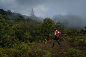 BIB: 3008
                            <button type="button" onclick="openModal(15976503)" class="btn btn-primary btn-sm float-right btn-popup" data-toggle="modal" data-target=".modal-high-quality">
                        <i class="fas fa-shopping-cart"></i> Add to Cart
                    </button>
                                            <button type="button" onclick="isThisMe(15976503, true)" class="btn btn-success btn-sm float-right btn-popup btn-isme hidden" data-toggle="tooltip" data-placement="bottom" title="นี่คือรูปของคุณใช่ไหม คลิกที่นี่เพื่อเอาเข้าอัลบั้ม">
                        <i class="fas fa-plus"></i> Add to album
                    </button>
                    <button type="button" onclick="isThisMe(15976503, false)" class="btn btn-warning btn-sm float-right btn-popup btn-isnotme hidden">
                        <i class="fas fa-ban"></i> Remove from album
                    </button>