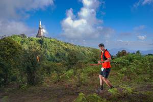 BIB: 
                            <button type="button" onclick="openModal(15976745)" class="btn btn-primary btn-sm float-right btn-popup" data-toggle="modal" data-target=".modal-high-quality">
                        <i class="fas fa-shopping-cart"></i> Add to Cart
                    </button>
                                            <button type="button" onclick="isThisMe(15976745, true)" class="btn btn-success btn-sm float-right btn-popup btn-isme hidden" data-toggle="tooltip" data-placement="bottom" title="นี่คือรูปของคุณใช่ไหม คลิกที่นี่เพื่อเอาเข้าอัลบั้ม">
                        <i class="fas fa-plus"></i> Add to album
                    </button>
                    <button type="button" onclick="isThisMe(15976745, false)" class="btn btn-warning btn-sm float-right btn-popup btn-isnotme hidden">
                        <i class="fas fa-ban"></i> Remove from album
                    </button>