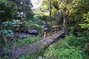 BIB: 
                            <button type="button" onclick="openModal(15976124)" class="btn btn-primary btn-sm float-right btn-popup" data-toggle="modal" data-target=".modal-high-quality">
                        <i class="fas fa-shopping-cart"></i> Add to Cart
                    </button>
                                            <button type="button" onclick="isThisMe(15976124, true)" class="btn btn-success btn-sm float-right btn-popup btn-isme hidden" data-toggle="tooltip" data-placement="bottom" title="นี่คือรูปของคุณใช่ไหม คลิกที่นี่เพื่อเอาเข้าอัลบั้ม">
                        <i class="fas fa-plus"></i> Add to album
                    </button>
                    <button type="button" onclick="isThisMe(15976124, false)" class="btn btn-warning btn-sm float-right btn-popup btn-isnotme hidden">
                        <i class="fas fa-ban"></i> Remove from album
                    </button>