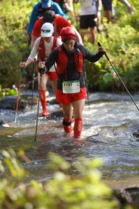 BIB: , 1197
                            <button type="button" onclick="openModal(15950670)" class="btn btn-primary btn-sm float-right btn-popup" data-toggle="modal" data-target=".modal-high-quality">
                        <i class="fas fa-shopping-cart"></i> Add to Cart
                    </button>
                                            <button type="button" onclick="isThisMe(15950670, true)" class="btn btn-success btn-sm float-right btn-popup btn-isme hidden" data-toggle="tooltip" data-placement="bottom" title="นี่คือรูปของคุณใช่ไหม คลิกที่นี่เพื่อเอาเข้าอัลบั้ม">
                        <i class="fas fa-plus"></i> Add to album
                    </button>
                    <button type="button" onclick="isThisMe(15950670, false)" class="btn btn-warning btn-sm float-right btn-popup btn-isnotme hidden">
                        <i class="fas fa-ban"></i> Remove from album
                    </button>