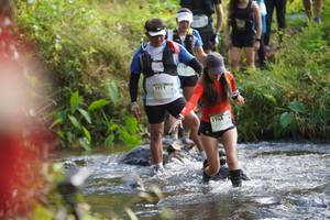 BIB: 115, 1717, 1745
                            <button type="button" onclick="openModal(15949851)" class="btn btn-primary btn-sm float-right btn-popup" data-toggle="modal" data-target=".modal-high-quality">
                        <i class="fas fa-shopping-cart"></i> Add to Cart
                    </button>
                                            <button type="button" onclick="isThisMe(15949851, true)" class="btn btn-success btn-sm float-right btn-popup btn-isme hidden" data-toggle="tooltip" data-placement="bottom" title="นี่คือรูปของคุณใช่ไหม คลิกที่นี่เพื่อเอาเข้าอัลบั้ม">
                        <i class="fas fa-plus"></i> Add to album
                    </button>
                    <button type="button" onclick="isThisMe(15949851, false)" class="btn btn-warning btn-sm float-right btn-popup btn-isnotme hidden">
                        <i class="fas fa-ban"></i> Remove from album
                    </button>