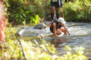 BIB: 
                            <button type="button" onclick="openModal(15949577)" class="btn btn-primary btn-sm float-right btn-popup" data-toggle="modal" data-target=".modal-high-quality">
                        <i class="fas fa-shopping-cart"></i> Add to Cart
                    </button>
                                            <button type="button" onclick="isThisMe(15949577, true)" class="btn btn-success btn-sm float-right btn-popup btn-isme hidden" data-toggle="tooltip" data-placement="bottom" title="นี่คือรูปของคุณใช่ไหม คลิกที่นี่เพื่อเอาเข้าอัลบั้ม">
                        <i class="fas fa-plus"></i> Add to album
                    </button>
                    <button type="button" onclick="isThisMe(15949577, false)" class="btn btn-warning btn-sm float-right btn-popup btn-isnotme hidden">
                        <i class="fas fa-ban"></i> Remove from album
                    </button>