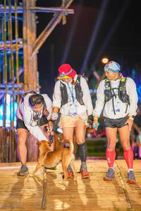 BIB: 
                            <button type="button" onclick="openModal(16004514)" class="btn btn-primary btn-sm float-right btn-popup" data-toggle="modal" data-target=".modal-high-quality">
                        <i class="fas fa-shopping-cart"></i> Add to Cart
                    </button>
                                            <button type="button" onclick="isThisMe(16004514, true)" class="btn btn-success btn-sm float-right btn-popup btn-isme hidden" data-toggle="tooltip" data-placement="bottom" title="นี่คือรูปของคุณใช่ไหม คลิกที่นี่เพื่อเอาเข้าอัลบั้ม">
                        <i class="fas fa-plus"></i> Add to album
                    </button>
                    <button type="button" onclick="isThisMe(16004514, false)" class="btn btn-warning btn-sm float-right btn-popup btn-isnotme hidden">
                        <i class="fas fa-ban"></i> Remove from album
                    </button>