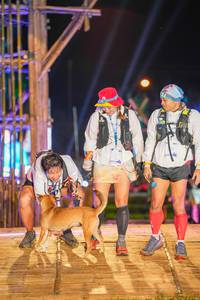 BIB: 285, 008
                            <button type="button" onclick="openModal(16004528)" class="btn btn-primary btn-sm float-right btn-popup" data-toggle="modal" data-target=".modal-high-quality">
                        <i class="fas fa-shopping-cart"></i> Add to Cart
                    </button>
                                            <button type="button" onclick="isThisMe(16004528, true)" class="btn btn-success btn-sm float-right btn-popup btn-isme hidden" data-toggle="tooltip" data-placement="bottom" title="นี่คือรูปของคุณใช่ไหม คลิกที่นี่เพื่อเอาเข้าอัลบั้ม">
                        <i class="fas fa-plus"></i> Add to album
                    </button>
                    <button type="button" onclick="isThisMe(16004528, false)" class="btn btn-warning btn-sm float-right btn-popup btn-isnotme hidden">
                        <i class="fas fa-ban"></i> Remove from album
                    </button>