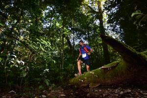 BIB: 4011
                            <button type="button" onclick="openModal(15961757)" class="btn btn-primary btn-sm float-right btn-popup" data-toggle="modal" data-target=".modal-high-quality">
                        <i class="fas fa-shopping-cart"></i> Add to Cart
                    </button>
                                            <button type="button" onclick="isThisMe(15961757, true)" class="btn btn-success btn-sm float-right btn-popup btn-isme hidden" data-toggle="tooltip" data-placement="bottom" title="นี่คือรูปของคุณใช่ไหม คลิกที่นี่เพื่อเอาเข้าอัลบั้ม">
                        <i class="fas fa-plus"></i> Add to album
                    </button>
                    <button type="button" onclick="isThisMe(15961757, false)" class="btn btn-warning btn-sm float-right btn-popup btn-isnotme hidden">
                        <i class="fas fa-ban"></i> Remove from album
                    </button>