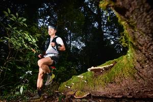 BIB: 
                            <button type="button" onclick="openModal(15962450)" class="btn btn-primary btn-sm float-right btn-popup" data-toggle="modal" data-target=".modal-high-quality">
                        <i class="fas fa-shopping-cart"></i> Add to Cart
                    </button>
                                            <button type="button" onclick="isThisMe(15962450, true)" class="btn btn-success btn-sm float-right btn-popup btn-isme hidden" data-toggle="tooltip" data-placement="bottom" title="นี่คือรูปของคุณใช่ไหม คลิกที่นี่เพื่อเอาเข้าอัลบั้ม">
                        <i class="fas fa-plus"></i> Add to album
                    </button>
                    <button type="button" onclick="isThisMe(15962450, false)" class="btn btn-warning btn-sm float-right btn-popup btn-isnotme hidden">
                        <i class="fas fa-ban"></i> Remove from album
                    </button>