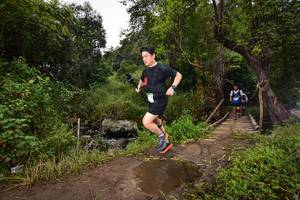 BIB: 1415
                            <button type="button" onclick="openModal(15979639)" class="btn btn-primary btn-sm float-right btn-popup" data-toggle="modal" data-target=".modal-high-quality">
                        <i class="fas fa-shopping-cart"></i> Add to Cart
                    </button>
                                            <button type="button" onclick="isThisMe(15979639, true)" class="btn btn-success btn-sm float-right btn-popup btn-isme hidden" data-toggle="tooltip" data-placement="bottom" title="นี่คือรูปของคุณใช่ไหม คลิกที่นี่เพื่อเอาเข้าอัลบั้ม">
                        <i class="fas fa-plus"></i> Add to album
                    </button>
                    <button type="button" onclick="isThisMe(15979639, false)" class="btn btn-warning btn-sm float-right btn-popup btn-isnotme hidden">
                        <i class="fas fa-ban"></i> Remove from album
                    </button>