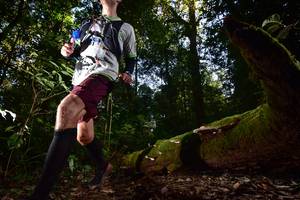 BIB: 2039, 3197, 074
                            <button type="button" onclick="openModal(15962013)" class="btn btn-primary btn-sm float-right btn-popup" data-toggle="modal" data-target=".modal-high-quality">
                        <i class="fas fa-shopping-cart"></i> Add to Cart
                    </button>
                                            <button type="button" onclick="isThisMe(15962013, true)" class="btn btn-success btn-sm float-right btn-popup btn-isme hidden" data-toggle="tooltip" data-placement="bottom" title="นี่คือรูปของคุณใช่ไหม คลิกที่นี่เพื่อเอาเข้าอัลบั้ม">
                        <i class="fas fa-plus"></i> Add to album
                    </button>
                    <button type="button" onclick="isThisMe(15962013, false)" class="btn btn-warning btn-sm float-right btn-popup btn-isnotme hidden">
                        <i class="fas fa-ban"></i> Remove from album
                    </button>