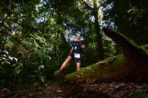 BIB: , 3525
                            <button type="button" onclick="openModal(15961868)" class="btn btn-primary btn-sm float-right btn-popup" data-toggle="modal" data-target=".modal-high-quality">
                        <i class="fas fa-shopping-cart"></i> Add to Cart
                    </button>
                                            <button type="button" onclick="isThisMe(15961868, true)" class="btn btn-success btn-sm float-right btn-popup btn-isme hidden" data-toggle="tooltip" data-placement="bottom" title="นี่คือรูปของคุณใช่ไหม คลิกที่นี่เพื่อเอาเข้าอัลบั้ม">
                        <i class="fas fa-plus"></i> Add to album
                    </button>
                    <button type="button" onclick="isThisMe(15961868, false)" class="btn btn-warning btn-sm float-right btn-popup btn-isnotme hidden">
                        <i class="fas fa-ban"></i> Remove from album
                    </button>