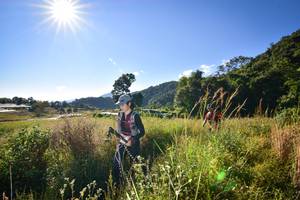 BIB: 
                            <button type="button" onclick="openModal(15960807)" class="btn btn-primary btn-sm float-right btn-popup" data-toggle="modal" data-target=".modal-high-quality">
                        <i class="fas fa-shopping-cart"></i> Add to Cart
                    </button>
                                            <button type="button" onclick="isThisMe(15960807, true)" class="btn btn-success btn-sm float-right btn-popup btn-isme hidden" data-toggle="tooltip" data-placement="bottom" title="นี่คือรูปของคุณใช่ไหม คลิกที่นี่เพื่อเอาเข้าอัลบั้ม">
                        <i class="fas fa-plus"></i> Add to album
                    </button>
                    <button type="button" onclick="isThisMe(15960807, false)" class="btn btn-warning btn-sm float-right btn-popup btn-isnotme hidden">
                        <i class="fas fa-ban"></i> Remove from album
                    </button>