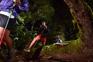 BIB: 100
                            <button type="button" onclick="openModal(15962996)" class="btn btn-primary btn-sm float-right btn-popup" data-toggle="modal" data-target=".modal-high-quality">
                        <i class="fas fa-shopping-cart"></i> Add to Cart
                    </button>
                                            <button type="button" onclick="isThisMe(15962996, true)" class="btn btn-success btn-sm float-right btn-popup btn-isme hidden" data-toggle="tooltip" data-placement="bottom" title="นี่คือรูปของคุณใช่ไหม คลิกที่นี่เพื่อเอาเข้าอัลบั้ม">
                        <i class="fas fa-plus"></i> Add to album
                    </button>
                    <button type="button" onclick="isThisMe(15962996, false)" class="btn btn-warning btn-sm float-right btn-popup btn-isnotme hidden">
                        <i class="fas fa-ban"></i> Remove from album
                    </button>