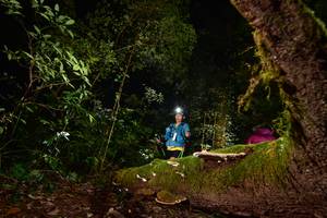 BIB: 
                            <button type="button" onclick="openModal(15962607)" class="btn btn-primary btn-sm float-right btn-popup" data-toggle="modal" data-target=".modal-high-quality">
                        <i class="fas fa-shopping-cart"></i> Add to Cart
                    </button>
                                            <button type="button" onclick="isThisMe(15962607, true)" class="btn btn-success btn-sm float-right btn-popup btn-isme hidden" data-toggle="tooltip" data-placement="bottom" title="นี่คือรูปของคุณใช่ไหม คลิกที่นี่เพื่อเอาเข้าอัลบั้ม">
                        <i class="fas fa-plus"></i> Add to album
                    </button>
                    <button type="button" onclick="isThisMe(15962607, false)" class="btn btn-warning btn-sm float-right btn-popup btn-isnotme hidden">
                        <i class="fas fa-ban"></i> Remove from album
                    </button>