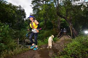 BIB: 1146, 414, 7610, 1150
                            <button type="button" onclick="openModal(15979509)" class="btn btn-primary btn-sm float-right btn-popup" data-toggle="modal" data-target=".modal-high-quality">
                        <i class="fas fa-shopping-cart"></i> Add to Cart
                    </button>
                                            <button type="button" onclick="isThisMe(15979509, true)" class="btn btn-success btn-sm float-right btn-popup btn-isme hidden" data-toggle="tooltip" data-placement="bottom" title="นี่คือรูปของคุณใช่ไหม คลิกที่นี่เพื่อเอาเข้าอัลบั้ม">
                        <i class="fas fa-plus"></i> Add to album
                    </button>
                    <button type="button" onclick="isThisMe(15979509, false)" class="btn btn-warning btn-sm float-right btn-popup btn-isnotme hidden">
                        <i class="fas fa-ban"></i> Remove from album
                    </button>