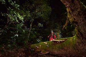 BIB: 
                            <button type="button" onclick="openModal(15962955)" class="btn btn-primary btn-sm float-right btn-popup" data-toggle="modal" data-target=".modal-high-quality">
                        <i class="fas fa-shopping-cart"></i> Add to Cart
                    </button>
                                            <button type="button" onclick="isThisMe(15962955, true)" class="btn btn-success btn-sm float-right btn-popup btn-isme hidden" data-toggle="tooltip" data-placement="bottom" title="นี่คือรูปของคุณใช่ไหม คลิกที่นี่เพื่อเอาเข้าอัลบั้ม">
                        <i class="fas fa-plus"></i> Add to album
                    </button>
                    <button type="button" onclick="isThisMe(15962955, false)" class="btn btn-warning btn-sm float-right btn-popup btn-isnotme hidden">
                        <i class="fas fa-ban"></i> Remove from album
                    </button>