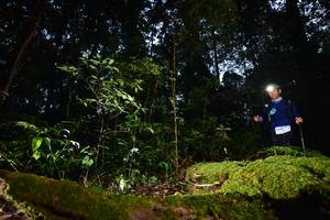 BIB: , 503, 3271
                            <button type="button" onclick="openModal(15962406)" class="btn btn-primary btn-sm float-right btn-popup" data-toggle="modal" data-target=".modal-high-quality">
                        <i class="fas fa-shopping-cart"></i> Add to Cart
                    </button>
                                            <button type="button" onclick="isThisMe(15962406, true)" class="btn btn-success btn-sm float-right btn-popup btn-isme hidden" data-toggle="tooltip" data-placement="bottom" title="นี่คือรูปของคุณใช่ไหม คลิกที่นี่เพื่อเอาเข้าอัลบั้ม">
                        <i class="fas fa-plus"></i> Add to album
                    </button>
                    <button type="button" onclick="isThisMe(15962406, false)" class="btn btn-warning btn-sm float-right btn-popup btn-isnotme hidden">
                        <i class="fas fa-ban"></i> Remove from album
                    </button>