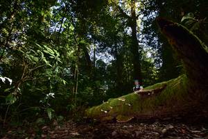 BIB: 
                            <button type="button" onclick="openModal(15961909)" class="btn btn-primary btn-sm float-right btn-popup" data-toggle="modal" data-target=".modal-high-quality">
                        <i class="fas fa-shopping-cart"></i> Add to Cart
                    </button>
                                            <button type="button" onclick="isThisMe(15961909, true)" class="btn btn-success btn-sm float-right btn-popup btn-isme hidden" data-toggle="tooltip" data-placement="bottom" title="นี่คือรูปของคุณใช่ไหม คลิกที่นี่เพื่อเอาเข้าอัลบั้ม">
                        <i class="fas fa-plus"></i> Add to album
                    </button>
                    <button type="button" onclick="isThisMe(15961909, false)" class="btn btn-warning btn-sm float-right btn-popup btn-isnotme hidden">
                        <i class="fas fa-ban"></i> Remove from album
                    </button>