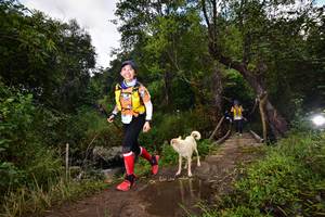 BIB: 1126, 1146
                            <button type="button" onclick="openModal(15979505)" class="btn btn-primary btn-sm float-right btn-popup" data-toggle="modal" data-target=".modal-high-quality">
                        <i class="fas fa-shopping-cart"></i> Add to Cart
                    </button>
                                            <button type="button" onclick="isThisMe(15979505, true)" class="btn btn-success btn-sm float-right btn-popup btn-isme hidden" data-toggle="tooltip" data-placement="bottom" title="นี่คือรูปของคุณใช่ไหม คลิกที่นี่เพื่อเอาเข้าอัลบั้ม">
                        <i class="fas fa-plus"></i> Add to album
                    </button>
                    <button type="button" onclick="isThisMe(15979505, false)" class="btn btn-warning btn-sm float-right btn-popup btn-isnotme hidden">
                        <i class="fas fa-ban"></i> Remove from album
                    </button>