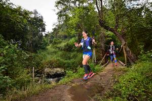 BIB: 1152, 
                            <button type="button" onclick="openModal(15980500)" class="btn btn-primary btn-sm float-right btn-popup" data-toggle="modal" data-target=".modal-high-quality">
                        <i class="fas fa-shopping-cart"></i> Add to Cart
                    </button>
                                            <button type="button" onclick="isThisMe(15980500, true)" class="btn btn-success btn-sm float-right btn-popup btn-isme hidden" data-toggle="tooltip" data-placement="bottom" title="นี่คือรูปของคุณใช่ไหม คลิกที่นี่เพื่อเอาเข้าอัลบั้ม">
                        <i class="fas fa-plus"></i> Add to album
                    </button>
                    <button type="button" onclick="isThisMe(15980500, false)" class="btn btn-warning btn-sm float-right btn-popup btn-isnotme hidden">
                        <i class="fas fa-ban"></i> Remove from album
                    </button>