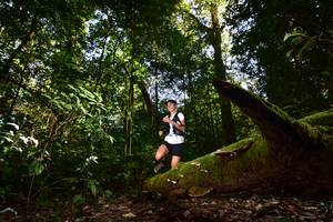 BIB: , 692
                            <button type="button" onclick="openModal(15961720)" class="btn btn-primary btn-sm float-right btn-popup" data-toggle="modal" data-target=".modal-high-quality">
                        <i class="fas fa-shopping-cart"></i> Add to Cart
                    </button>
                                            <button type="button" onclick="isThisMe(15961720, true)" class="btn btn-success btn-sm float-right btn-popup btn-isme hidden" data-toggle="tooltip" data-placement="bottom" title="นี่คือรูปของคุณใช่ไหม คลิกที่นี่เพื่อเอาเข้าอัลบั้ม">
                        <i class="fas fa-plus"></i> Add to album
                    </button>
                    <button type="button" onclick="isThisMe(15961720, false)" class="btn btn-warning btn-sm float-right btn-popup btn-isnotme hidden">
                        <i class="fas fa-ban"></i> Remove from album
                    </button>