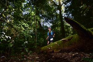 BIB: 3041
                            <button type="button" onclick="openModal(15961837)" class="btn btn-primary btn-sm float-right btn-popup" data-toggle="modal" data-target=".modal-high-quality">
                        <i class="fas fa-shopping-cart"></i> Add to Cart
                    </button>
                                            <button type="button" onclick="isThisMe(15961837, true)" class="btn btn-success btn-sm float-right btn-popup btn-isme hidden" data-toggle="tooltip" data-placement="bottom" title="นี่คือรูปของคุณใช่ไหม คลิกที่นี่เพื่อเอาเข้าอัลบั้ม">
                        <i class="fas fa-plus"></i> Add to album
                    </button>
                    <button type="button" onclick="isThisMe(15961837, false)" class="btn btn-warning btn-sm float-right btn-popup btn-isnotme hidden">
                        <i class="fas fa-ban"></i> Remove from album
                    </button>