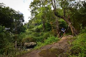 BIB: 1334
                            <button type="button" onclick="openModal(15980903)" class="btn btn-primary btn-sm float-right btn-popup" data-toggle="modal" data-target=".modal-high-quality">
                        <i class="fas fa-shopping-cart"></i> Add to Cart
                    </button>
                                            <button type="button" onclick="isThisMe(15980903, true)" class="btn btn-success btn-sm float-right btn-popup btn-isme hidden" data-toggle="tooltip" data-placement="bottom" title="นี่คือรูปของคุณใช่ไหม คลิกที่นี่เพื่อเอาเข้าอัลบั้ม">
                        <i class="fas fa-plus"></i> Add to album
                    </button>
                    <button type="button" onclick="isThisMe(15980903, false)" class="btn btn-warning btn-sm float-right btn-popup btn-isnotme hidden">
                        <i class="fas fa-ban"></i> Remove from album
                    </button>