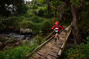 BIB: 1405
                            <button type="button" onclick="openModal(15980947)" class="btn btn-primary btn-sm float-right btn-popup" data-toggle="modal" data-target=".modal-high-quality">
                        <i class="fas fa-shopping-cart"></i> Add to Cart
                    </button>
                                            <button type="button" onclick="isThisMe(15980947, true)" class="btn btn-success btn-sm float-right btn-popup btn-isme hidden" data-toggle="tooltip" data-placement="bottom" title="นี่คือรูปของคุณใช่ไหม คลิกที่นี่เพื่อเอาเข้าอัลบั้ม">
                        <i class="fas fa-plus"></i> Add to album
                    </button>
                    <button type="button" onclick="isThisMe(15980947, false)" class="btn btn-warning btn-sm float-right btn-popup btn-isnotme hidden">
                        <i class="fas fa-ban"></i> Remove from album
                    </button>