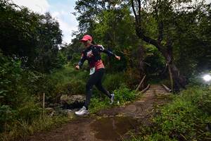 BIB: 
                            <button type="button" onclick="openModal(15979149)" class="btn btn-primary btn-sm float-right btn-popup" data-toggle="modal" data-target=".modal-high-quality">
                        <i class="fas fa-shopping-cart"></i> Add to Cart
                    </button>
                                            <button type="button" onclick="isThisMe(15979149, true)" class="btn btn-success btn-sm float-right btn-popup btn-isme hidden" data-toggle="tooltip" data-placement="bottom" title="นี่คือรูปของคุณใช่ไหม คลิกที่นี่เพื่อเอาเข้าอัลบั้ม">
                        <i class="fas fa-plus"></i> Add to album
                    </button>
                    <button type="button" onclick="isThisMe(15979149, false)" class="btn btn-warning btn-sm float-right btn-popup btn-isnotme hidden">
                        <i class="fas fa-ban"></i> Remove from album
                    </button>