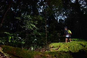 BIB: 5033, 3540
                            <button type="button" onclick="openModal(15962381)" class="btn btn-primary btn-sm float-right btn-popup" data-toggle="modal" data-target=".modal-high-quality">
                        <i class="fas fa-shopping-cart"></i> Add to Cart
                    </button>
                                            <button type="button" onclick="isThisMe(15962381, true)" class="btn btn-success btn-sm float-right btn-popup btn-isme hidden" data-toggle="tooltip" data-placement="bottom" title="นี่คือรูปของคุณใช่ไหม คลิกที่นี่เพื่อเอาเข้าอัลบั้ม">
                        <i class="fas fa-plus"></i> Add to album
                    </button>
                    <button type="button" onclick="isThisMe(15962381, false)" class="btn btn-warning btn-sm float-right btn-popup btn-isnotme hidden">
                        <i class="fas fa-ban"></i> Remove from album
                    </button>