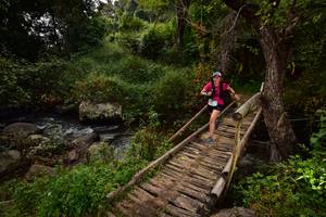 BIB: 1060
                            <button type="button" onclick="openModal(15980946)" class="btn btn-primary btn-sm float-right btn-popup" data-toggle="modal" data-target=".modal-high-quality">
                        <i class="fas fa-shopping-cart"></i> Add to Cart
                    </button>
                                            <button type="button" onclick="isThisMe(15980946, true)" class="btn btn-success btn-sm float-right btn-popup btn-isme hidden" data-toggle="tooltip" data-placement="bottom" title="นี่คือรูปของคุณใช่ไหม คลิกที่นี่เพื่อเอาเข้าอัลบั้ม">
                        <i class="fas fa-plus"></i> Add to album
                    </button>
                    <button type="button" onclick="isThisMe(15980946, false)" class="btn btn-warning btn-sm float-right btn-popup btn-isnotme hidden">
                        <i class="fas fa-ban"></i> Remove from album
                    </button>