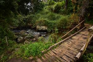 BIB: 
                            <button type="button" onclick="openModal(15980930)" class="btn btn-primary btn-sm float-right btn-popup" data-toggle="modal" data-target=".modal-high-quality">
                        <i class="fas fa-shopping-cart"></i> Add to Cart
                    </button>
                                            <button type="button" onclick="isThisMe(15980930, true)" class="btn btn-success btn-sm float-right btn-popup btn-isme hidden" data-toggle="tooltip" data-placement="bottom" title="นี่คือรูปของคุณใช่ไหม คลิกที่นี่เพื่อเอาเข้าอัลบั้ม">
                        <i class="fas fa-plus"></i> Add to album
                    </button>
                    <button type="button" onclick="isThisMe(15980930, false)" class="btn btn-warning btn-sm float-right btn-popup btn-isnotme hidden">
                        <i class="fas fa-ban"></i> Remove from album
                    </button>