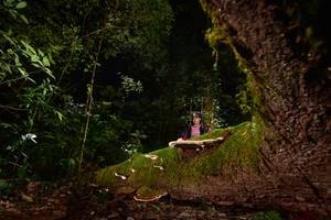 BIB: 
                            <button type="button" onclick="openModal(15963240)" class="btn btn-primary btn-sm float-right btn-popup" data-toggle="modal" data-target=".modal-high-quality">
                        <i class="fas fa-shopping-cart"></i> Add to Cart
                    </button>
                                            <button type="button" onclick="isThisMe(15963240, true)" class="btn btn-success btn-sm float-right btn-popup btn-isme hidden" data-toggle="tooltip" data-placement="bottom" title="นี่คือรูปของคุณใช่ไหม คลิกที่นี่เพื่อเอาเข้าอัลบั้ม">
                        <i class="fas fa-plus"></i> Add to album
                    </button>
                    <button type="button" onclick="isThisMe(15963240, false)" class="btn btn-warning btn-sm float-right btn-popup btn-isnotme hidden">
                        <i class="fas fa-ban"></i> Remove from album
                    </button>